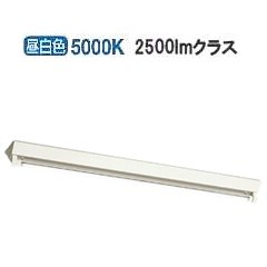 大光電機 ベースライト DBL4364WW25 工事必要