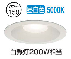 大光電機 ダウンライト(軒下兼用) DDL4918WWG 工事必要