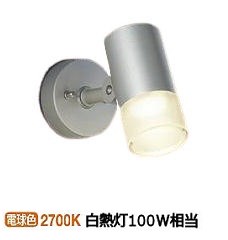 大光電機 アウトドアスポット DOL4599YS 工事必要