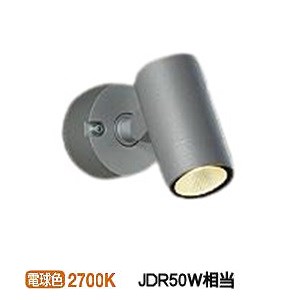 大光電機 アウトドアスポット DOL4824YS 工事必要