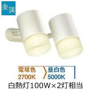大光電機 スポットライト 屋内用 DSL4718FWG 工事必要
