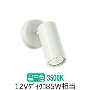 大光電機 直付型スポットライト 屋内用 DSL4902AWG 工事必要