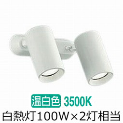 大光電機 注目の的 屋内用 DSL5400AWG 工事止むを得ず 天井照明-ライト・照明器具