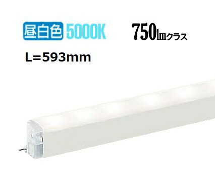大光電機 間接的な行動ともし火 DSY5469WWG 工事已むを得ず