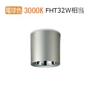 大光電機 軒下用シーリング LLC7063YUE 工事必要