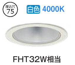 大光電機 落ち込むともし火 LZD93499NWW ワット数別売 工事已むを得ず