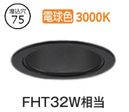 大光電機 落ち込むともし火 LZD93504YBB ワット数別売 工事已むを得ず