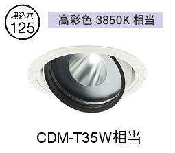 大光電機 生鮮食品用ユニバーサルダウンライト LZD93771SWM 電源別売 高彩色 Φ125 CDM-T35W相当 3850K 工事必要｜照明専門店　プリズマ 11,120円