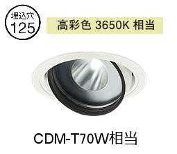 大光電機 生新しい食料雑貨類用ユニバーサルダウンライト LZD93772PWW ワット数別売 高ペンキ塗り Φ125 CDM-T70W好いかげんに 3650K 工事止むを得ず