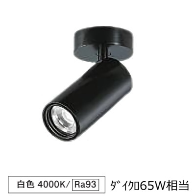 ※メーカー欠品中※ 大光電機 シリンダースポット LZS-9117NBN5 800クラス Φ50 ダイクロ65W相当 4000K 高演色 工事必要|照明専門店 プリズマ