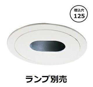 遠藤照明 ホスピタルライト 病室向けダウンライト ランプ別売 ERD3888W 工事必要