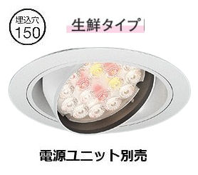 遠藤照明 生鮮食品用ダウンライト(ユニット別売)ERD7199WB 工事必要|照明専門店 プリズマ