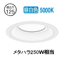 遠藤照明 浅型ダウンライト(ユニット別売)ERD9853W 工事必要|照明専門店 プリズマ