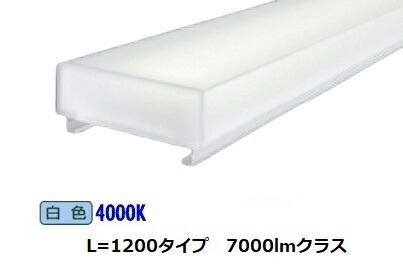 遠藤照明 メンテナンスユニット 本体別売 リニア70 40Wタイプ RAD804W