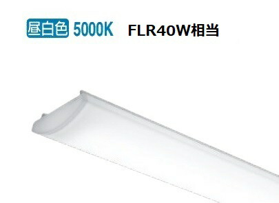 遠藤照明 SDシリーズ メンテナンスユニット 防水型 40Wタイプ RAD838N