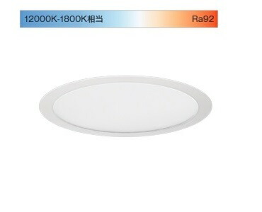 遠藤照明 Ｓｙｎｃａサークルベースライト 埋込型 SXK4035W 工事止むを得ず