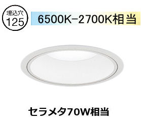 遠藤照明 浅型ダウンライト(ユニット別売)ERD9811W 工事必要|照明専門店 プリズマ