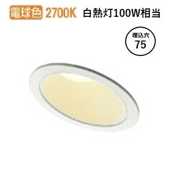コイズミ照明 傾斜・ウォールウォッシャーダウンライト AD1245W27 工事必要 屋内屋外兼用 調光 電球色