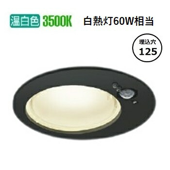コイズミ点火装置f 人感検知器付落ちこむ点火装置 AD1259B35  防雨型 工事已むを得ず タイマー付ON-OFF手合い 温白いこと