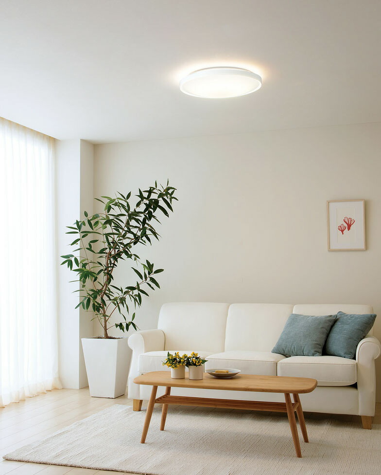 楽天市場】オーデリック シーリングライト OL291579BR 〜12畳用 調光調