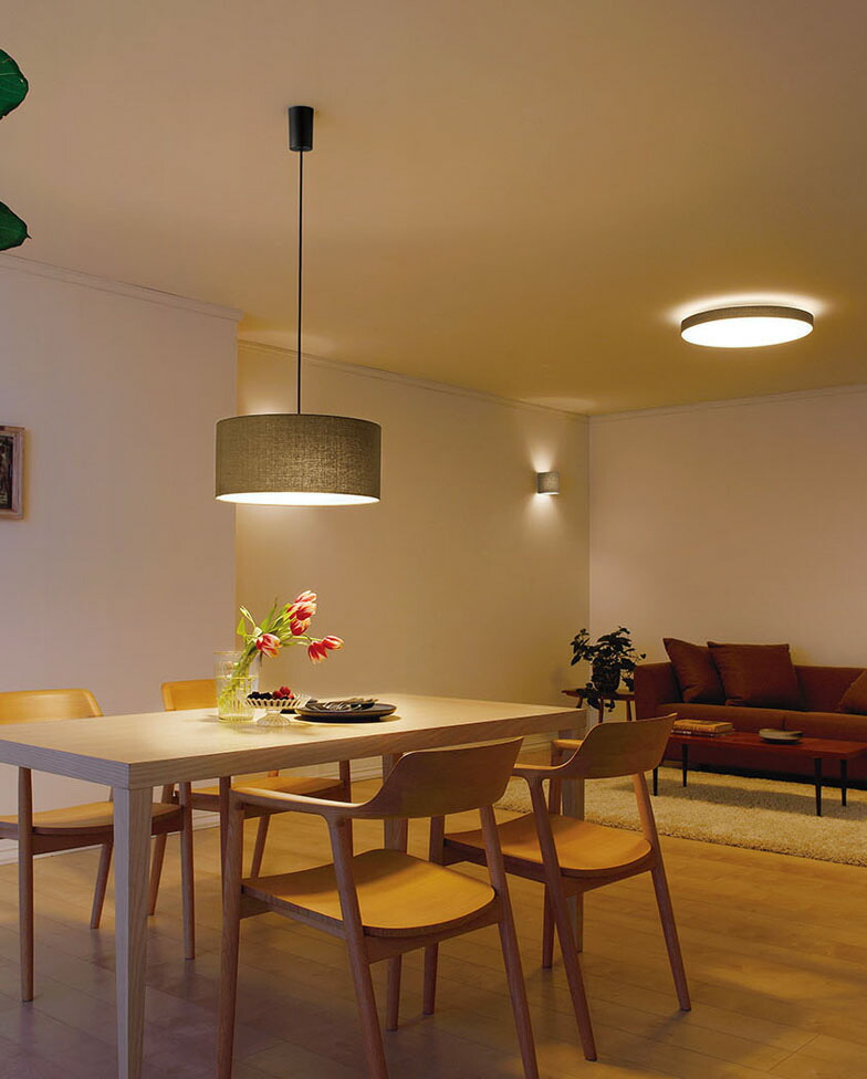 ODELIC オーデリック　型番　OP252603 ペンダントライト ODELIC オーデリック ペンダントライト OP252603LR | 商品紹介