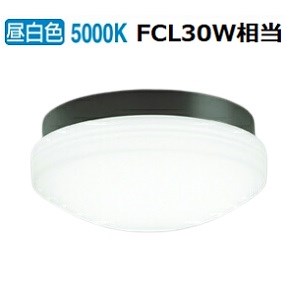 オーデリック 防雨防湿型器具 OW269016NR 昼白色 高演色 FCL30W相当 工事必要