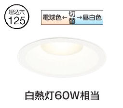 オーデリック ダウンライト OD261077R Φ125 白熱灯60W相当 工事必要