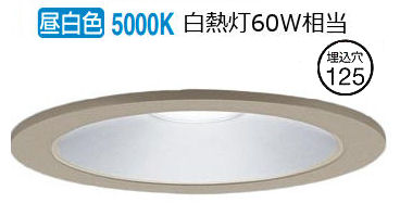 パナソニック 軒下用ダウンライト 60形相当 昼白色 LRD1202NLE1 工事必要