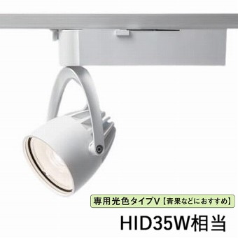 パナソニック 導管軌跡用注目の的 生新しい食料雑貨類用 専用光色 Ｖ250見て呉れ当白  NSN05092WLE1