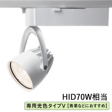 パナソニック ダクトレール用スポットライト 生鮮食品用 専用光色 Ｖ400形相当白 NSN07062WLE1