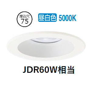 パナソニック ダウンライト LGD1024NLE1 工事必要