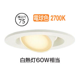 パナソニック ダウンライト LGD1304LLE1 工事必要｜照明専門店　プリズマ