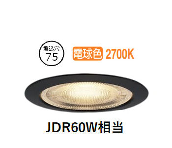 パナソニック 防湿・防雨型落ちこむ点火装置 XSZR1071LCB1 (SLR9016+LLD2411LCB1)調光 工事已むを得ず