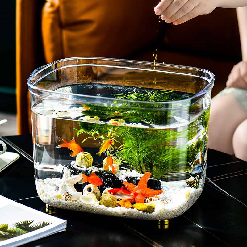 【楽天市場】水槽 金魚鉢 おしゃれ 高透明 PET素材 大きいサイズ
