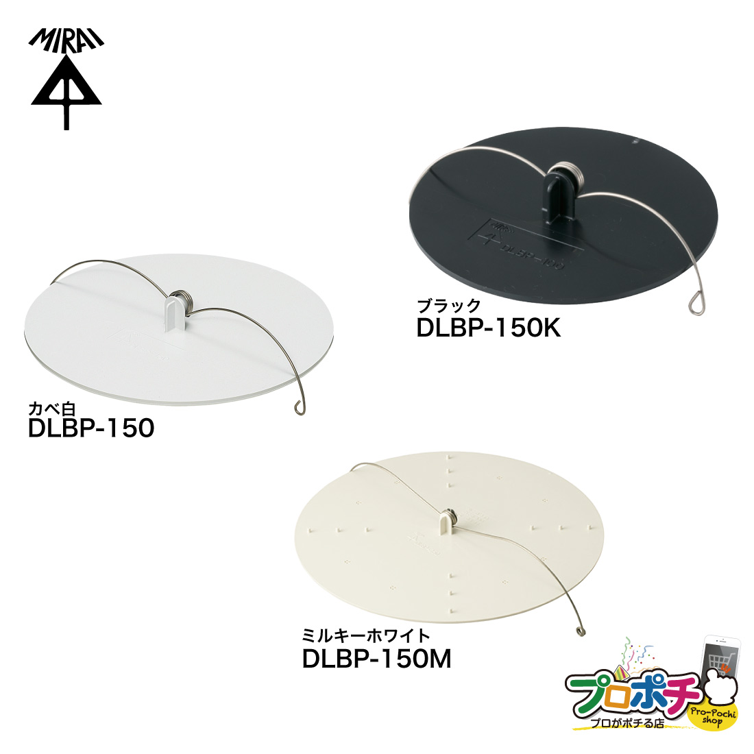 楽天市場】【お買い物マラソン】【ポイント5倍】【在庫有】ブランク