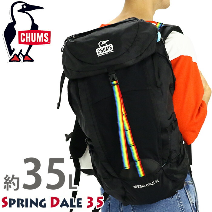 送料無料 人気 バッグ スポーツ 正規品 シンプル ビジネス トラベル かっこいい B4 カジュアル ロゴ 山用 登山用 ボディバッグ アウトドア 黒バッグ レジャー おしゃれ ブラック ウエストバッグ 機能性 先着 ノベルティ付き リュック Chums チャムス 正規品 メンズ