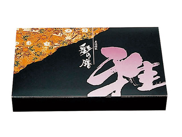 入れもの助けることSALE ＼袋からのうつり変わりを吟味立て中の方へ ／ キッチン用品・食器・調理器具-使い捨て食器-使い捨て弁当箱