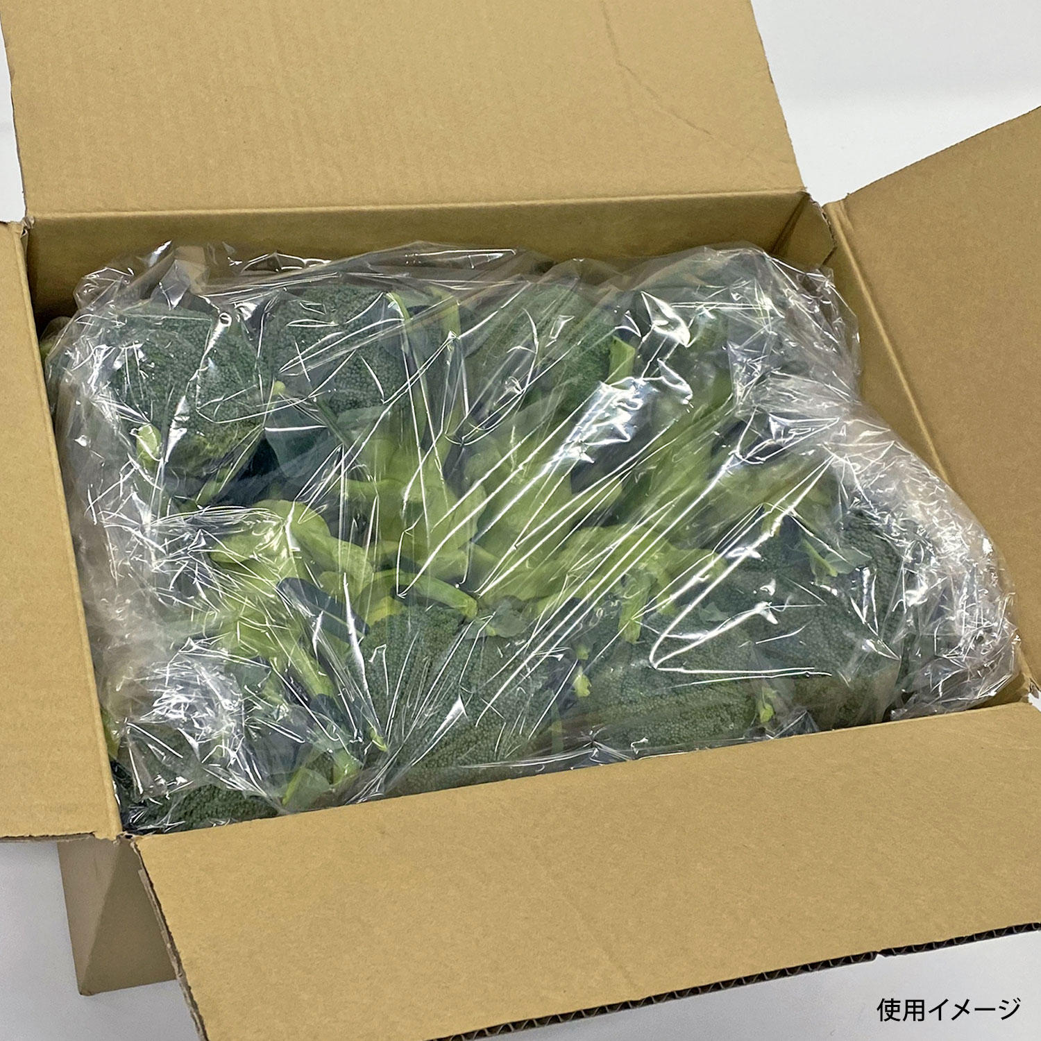 【500枚】オーラパック大袋10282規格品 ベルグリーンワイズ 00704252 プロステ|プロステアウトレット