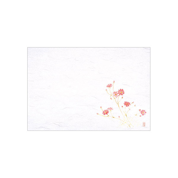 【10セット】M30-212 四季紙 千寿 秋桜 100枚入 マイン 00383412 プロステ