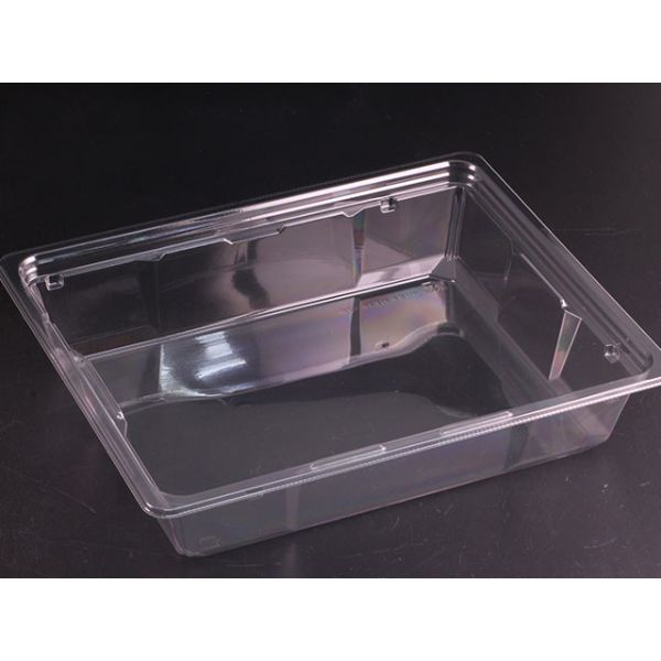 【300枚】サラダ容器 バイオカップ キューブNK 50-52B リスパック 00750626 10,520円