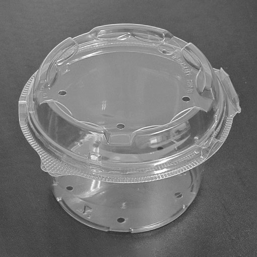 【500枚】青果・農産容器 リスパック バイオ つみたてM 130パイ72 穴10 00685559|プロステアウトレット