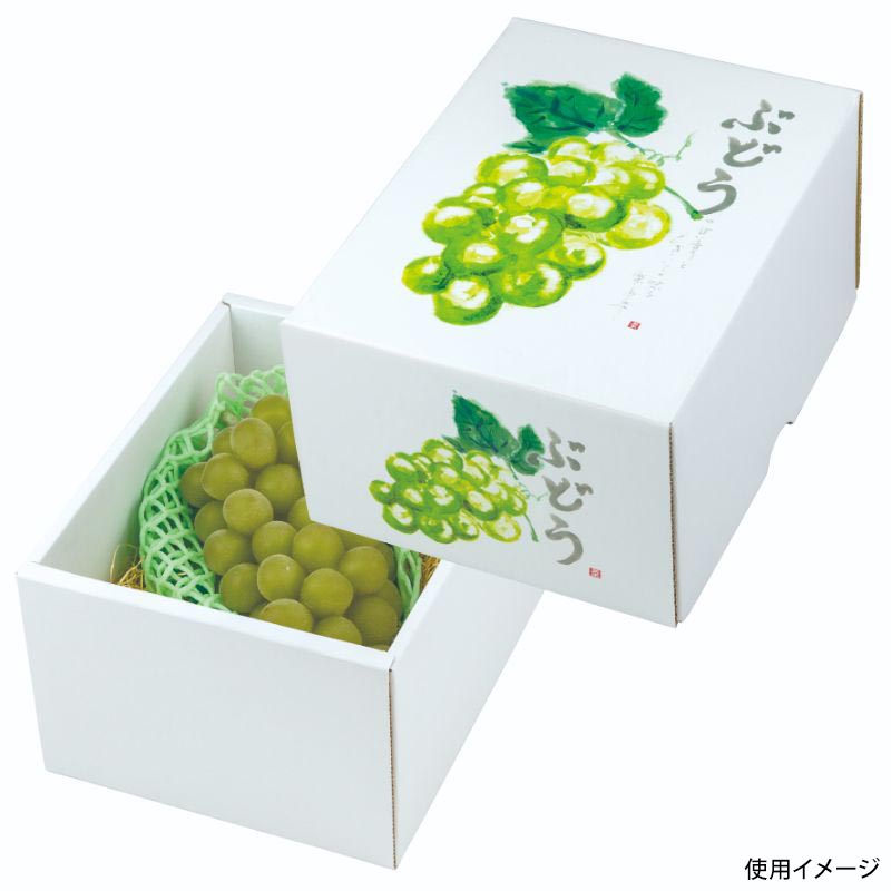 【40枚】ギフト箱 もぎたてのぶどうグリーン 小 ヤマニパッケージ 00733944 プロステ 13,781円