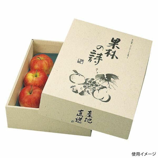 【40点】ギフト箱 L-293 果林の詩 ヤマニパッケージ 00319298
