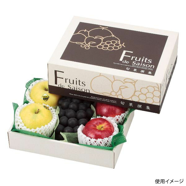 【50点】ギフト箱 L-2247 旬果撰集 小 A ヤマニパッケージ 00473479