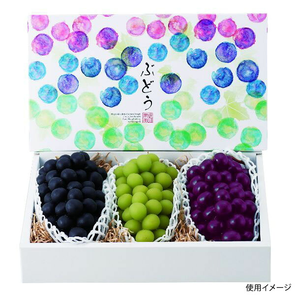 【40点】ギフト箱 L-2369 彩りぶどう3房 ヤマニパッケージ 00582680