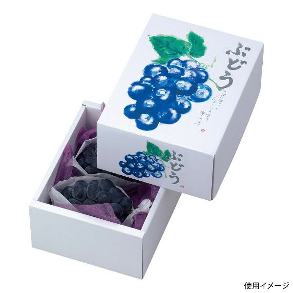【40点】ギフト箱 L-2044 もぎたてのぶどう ヤマニパッケージ 00582693