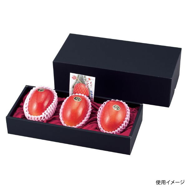 【40点】ギフト箱 L-2175 マンゴー3ヶ入黒 ヤマニパッケージ 00731889|プロステアウトレット