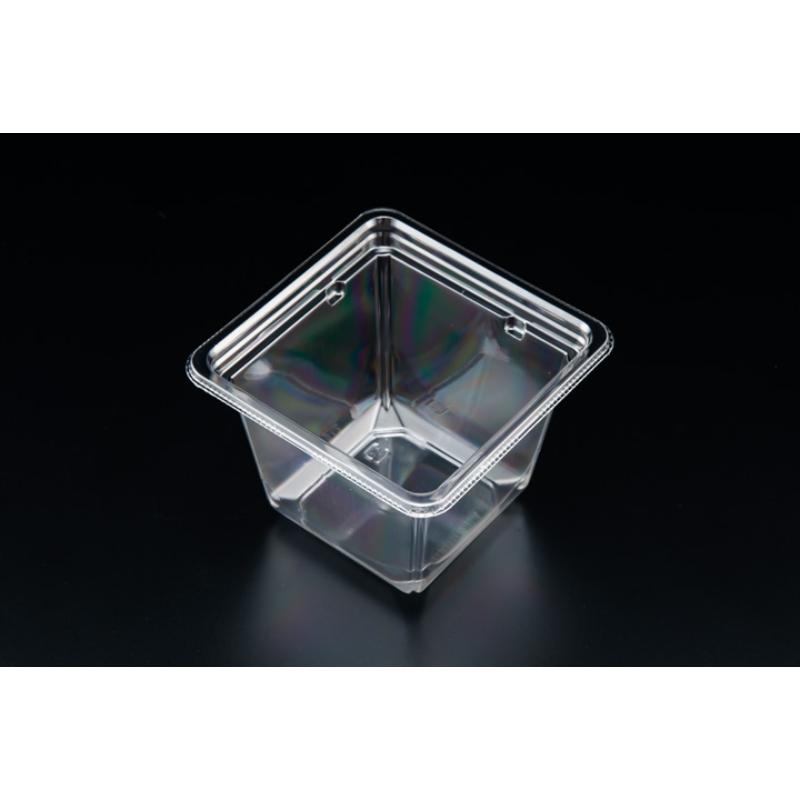 【900枚】サラダ容器 バイオカップ キューブ 11-80B リスパック 00659921