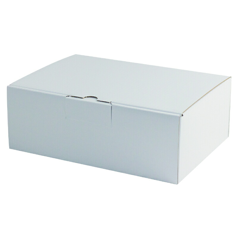 【100点】ギフト箱 はっ水宅配箱 9cm 白 ヤマニパッケージ 00800715|プロステアウトレット