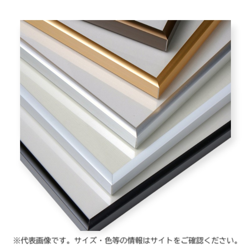 【10点】アルミフレーム ラクパネ B2 ゴールド 友屋 00816928